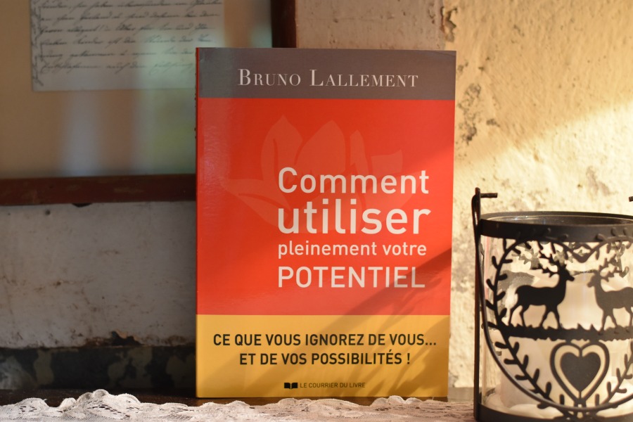 livre de Bruno Lallement